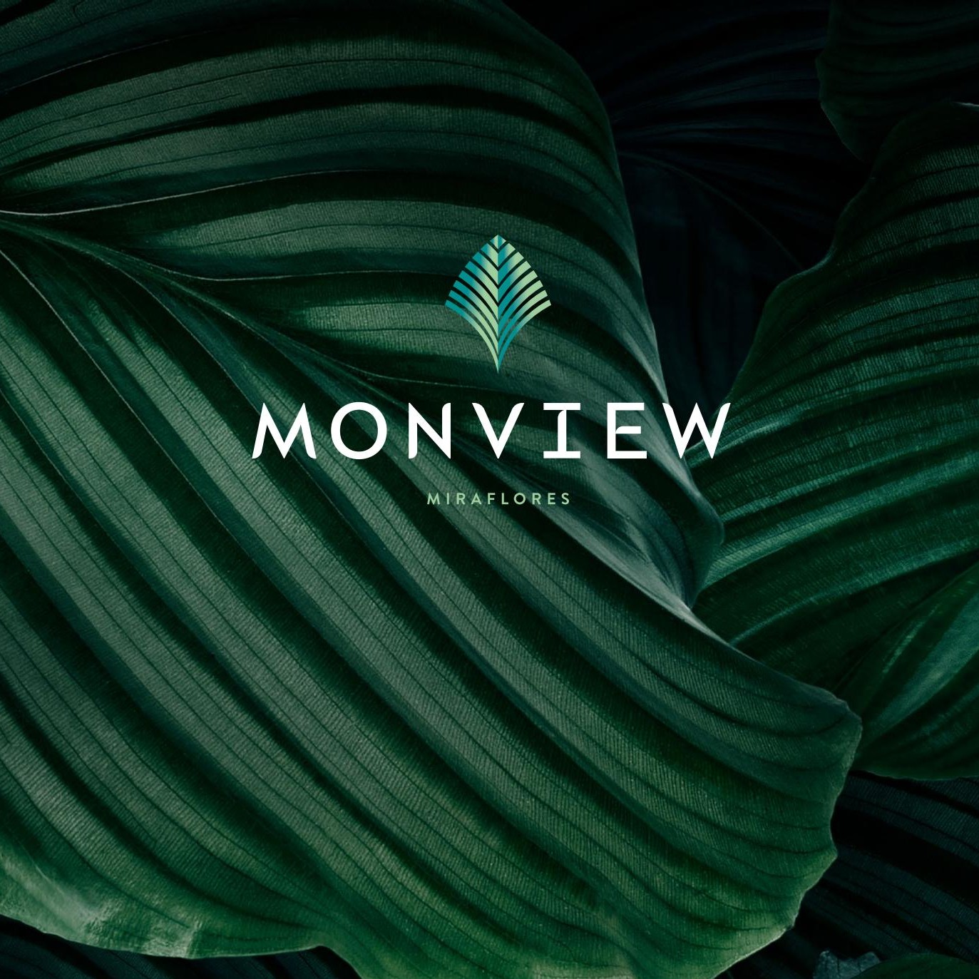 MONVIEW 2